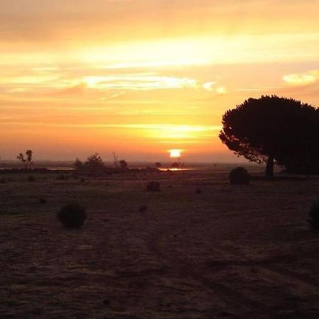 La Cabana De Donana El Rocio Luaran gambar